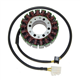 DUCATI 748 BIPOSTO 748 (01) STATOR ELECTROSPORT