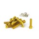 KIT TORNILLERIA CARTER BOOSTER ORO