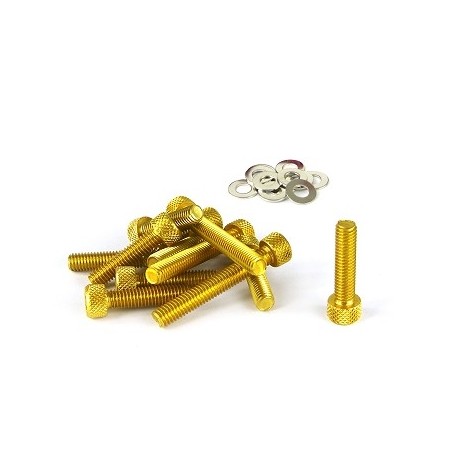 KIT TORNILLERIA CARTER BOOSTER ORO