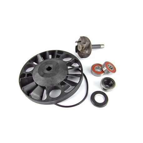 MECANISMO DE BOMBA DE AGUA PIAGGIO X9 125 / 180 / 200CC 4T ( OEM : 841333 )