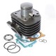 CILINDRO COMPLETO ADAPT CPI/KEEWAY/GENERIC D.40 Ø12 EURO3 2TPS ( EXHAUST OUTPUT FLANGE CYLINDER 93° )