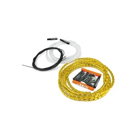 KIT ALLIGATORO I-LINK DESAROLLO ORO