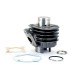 CILINDRO COMPLETO ADAPT OVETTO/APRILIA SR50 EN HIERRO (X12)